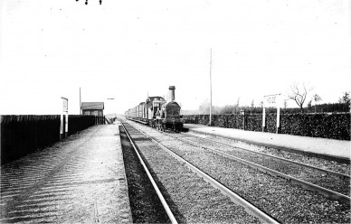 Z38638 - Type 1 - Heide - Felix Archief, Stadsarchief Antwerpen.jpg